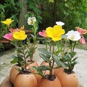 Meet your Posher, Aprile